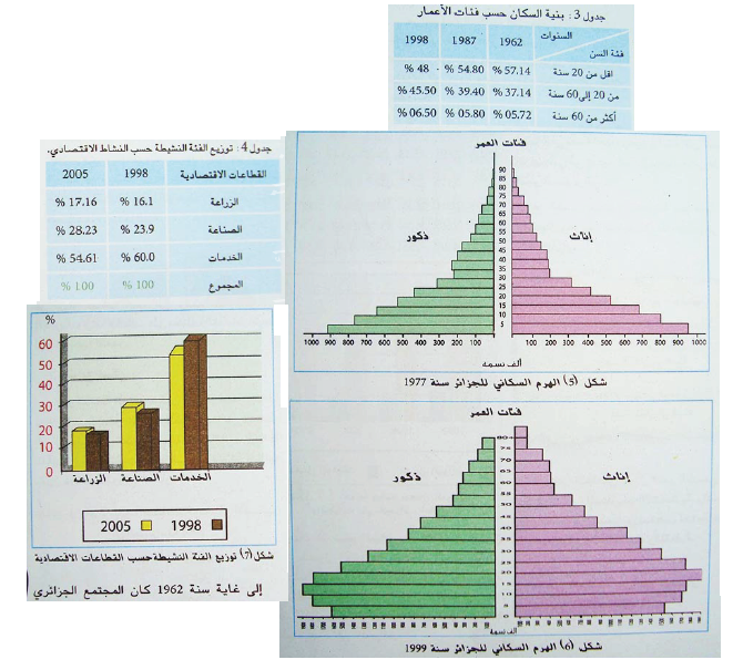 الملخص تركيب السكان